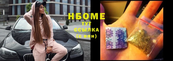 индика Волосово
