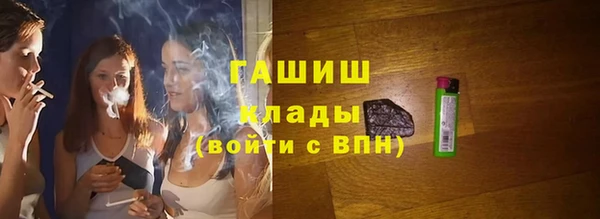 индика Волосово