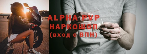 индика Волоколамск