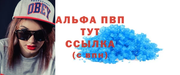 индика Волосово