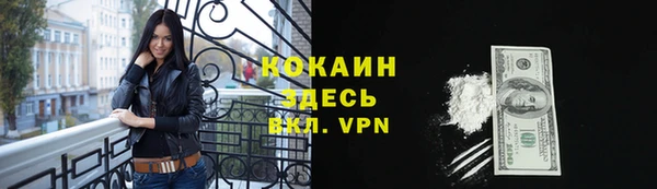 индика Волосово