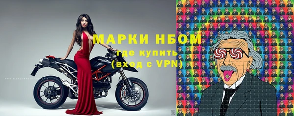индика Волосово