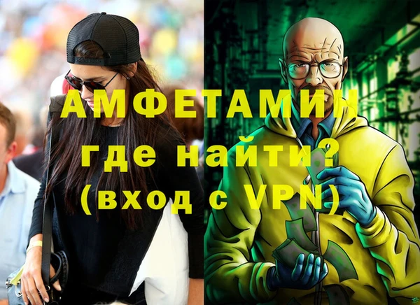 индика Волосово