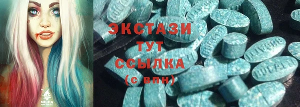 индика Волоколамск