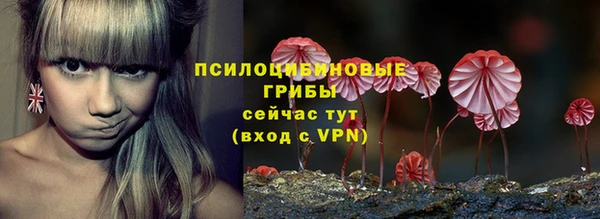 индика Волоколамск