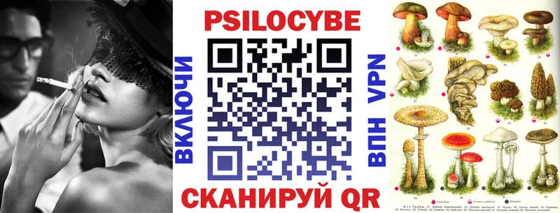 Псилоцибиновые грибы Cubensis  Купить  Александровское 